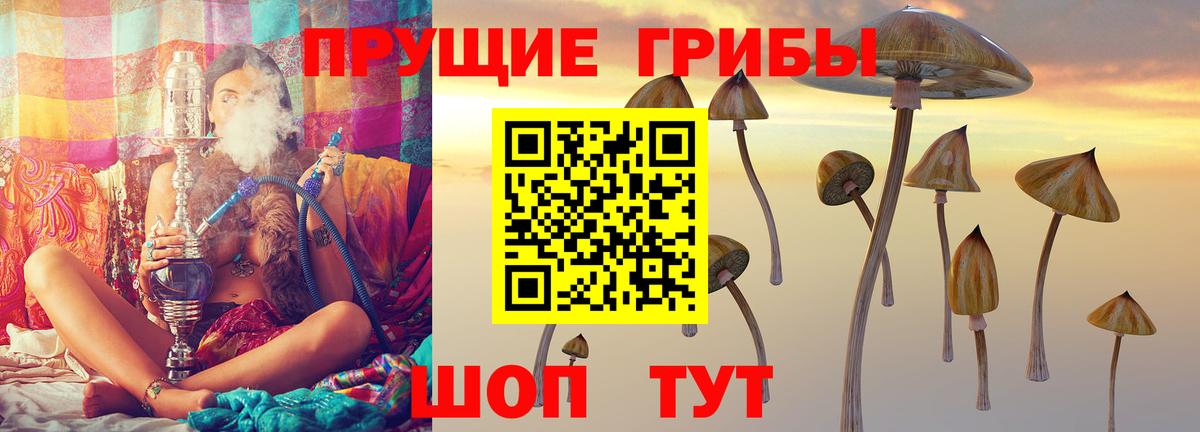 Галлюциногенные грибы мицелий  Вход с VPN  Коркино 