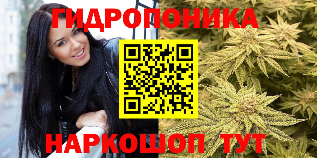 Каннабис планчик  Вход с VPN  Бошки Шишки Amnesia  Коркино 